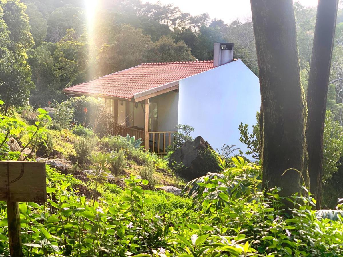 Eighteen21 Houses - Secluded Charm Cottage In Quinta Velha Sintra Extérieur photo