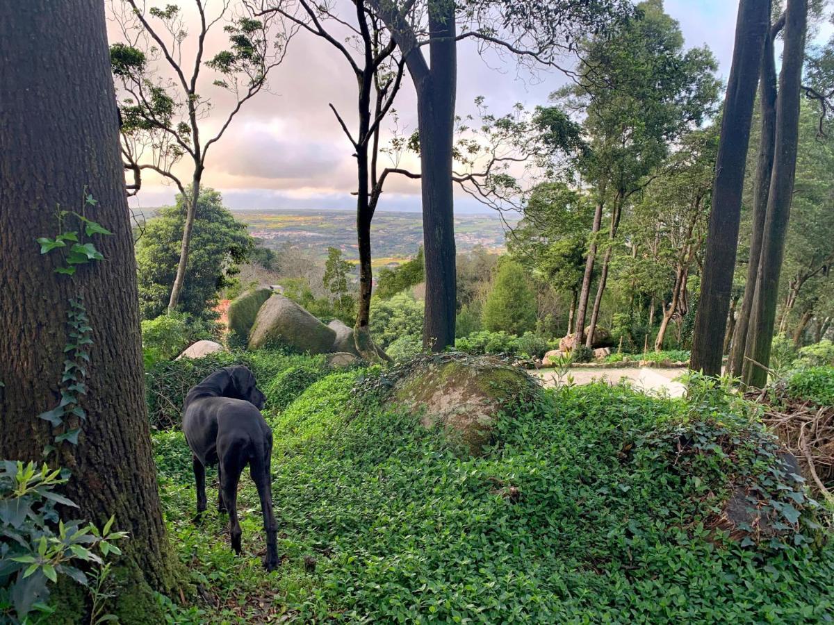 Eighteen21 Houses - Secluded Charm Cottage In Quinta Velha Sintra Extérieur photo
